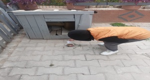 07-10-2025